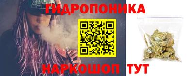 гашик Гусь-Хрустальный