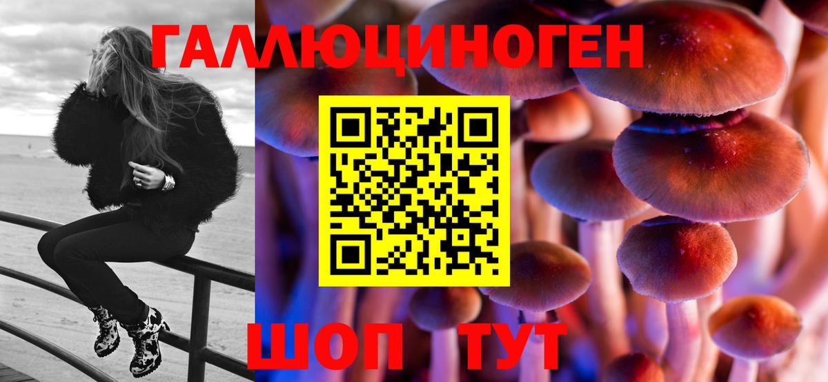 Псилоцибиновые грибы Cubensis  Вход с VPN  Моздок  Галлюциногенные грибы мицелий 